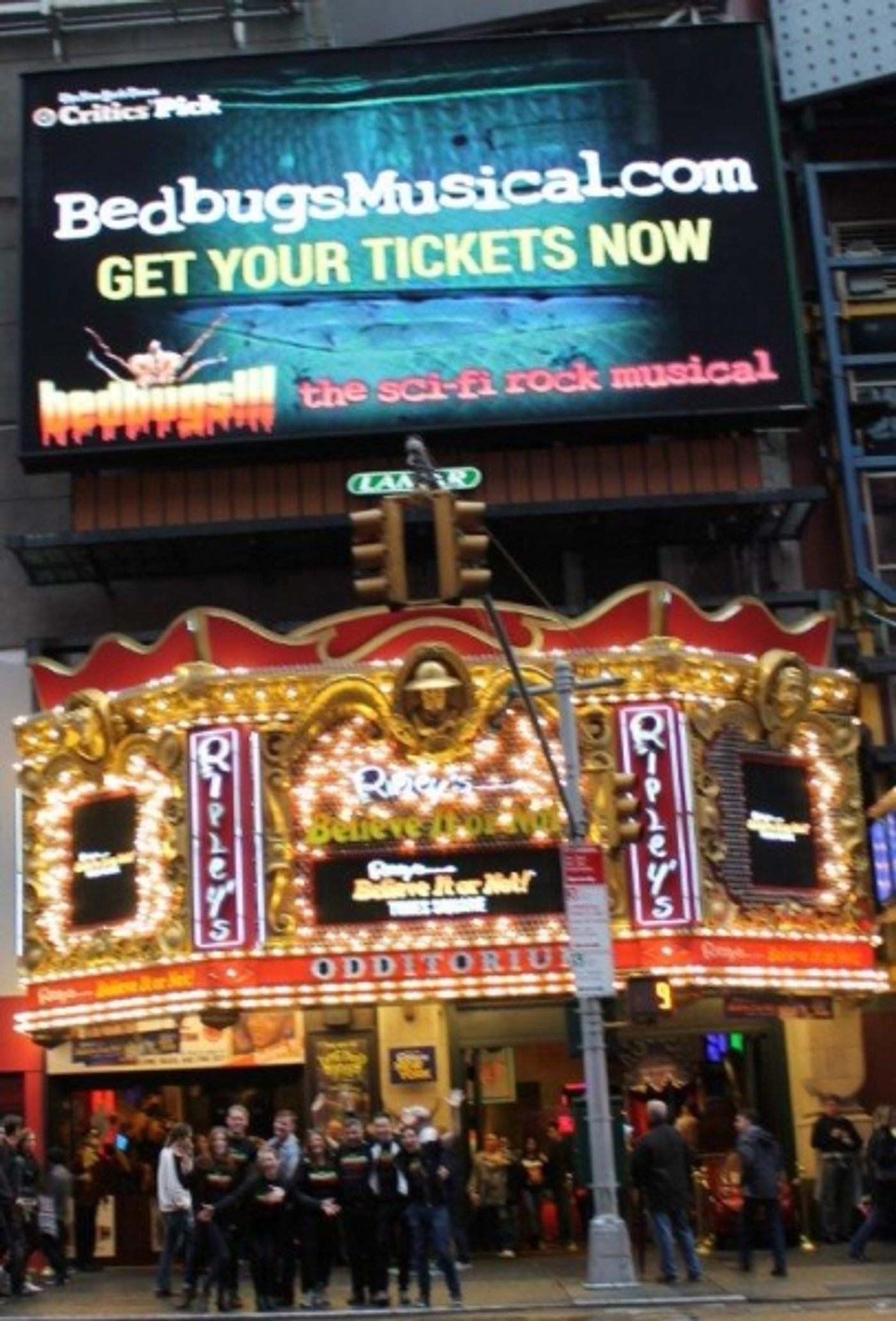 Photo Flash: Cast of BEDBUGS!!! Performs in Times Square  Image