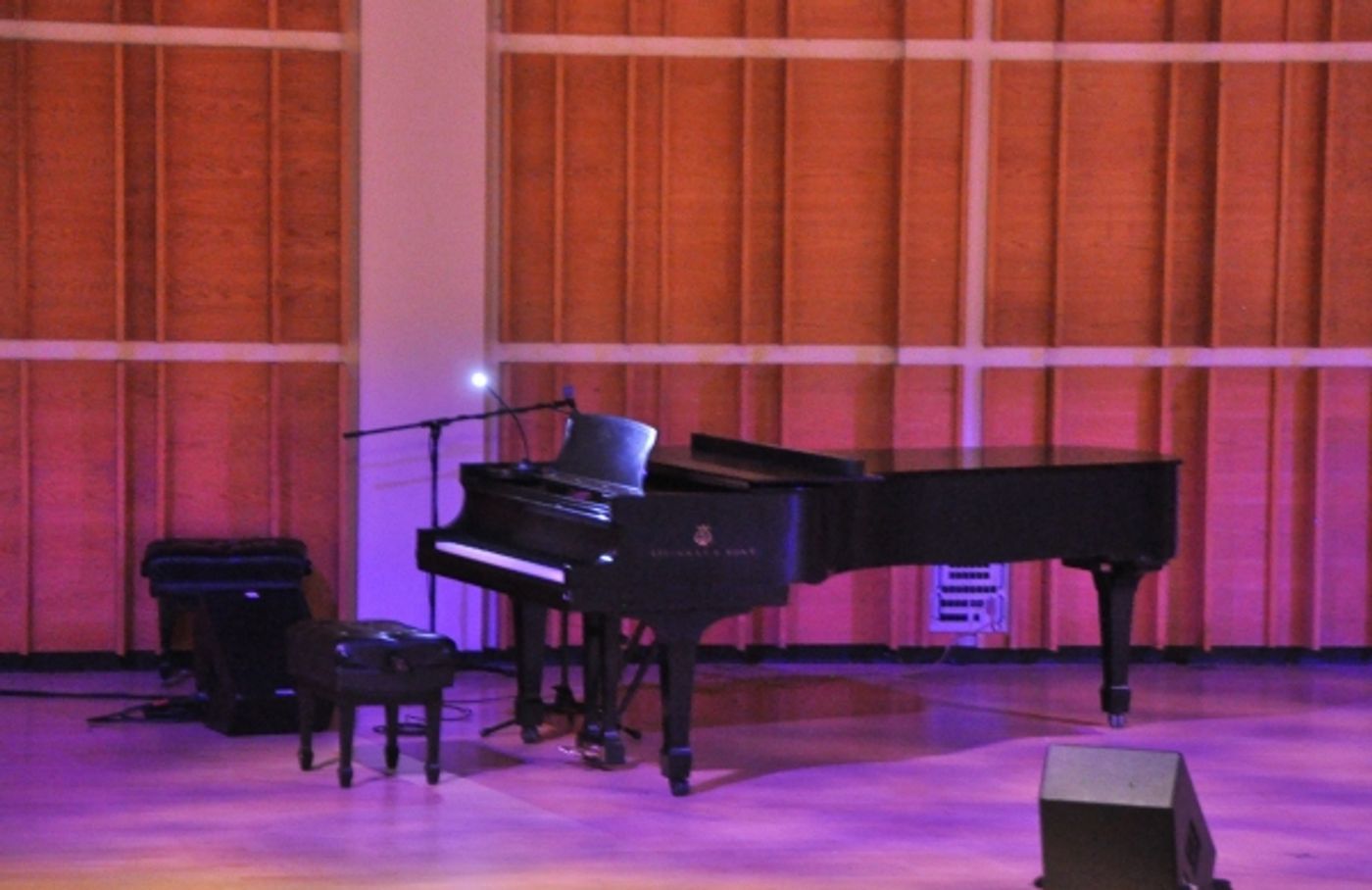 Photo Coverage: BORN FOR BROADWAY Lights Up Merkin Concert Hall - The Ladies' Performances! Image