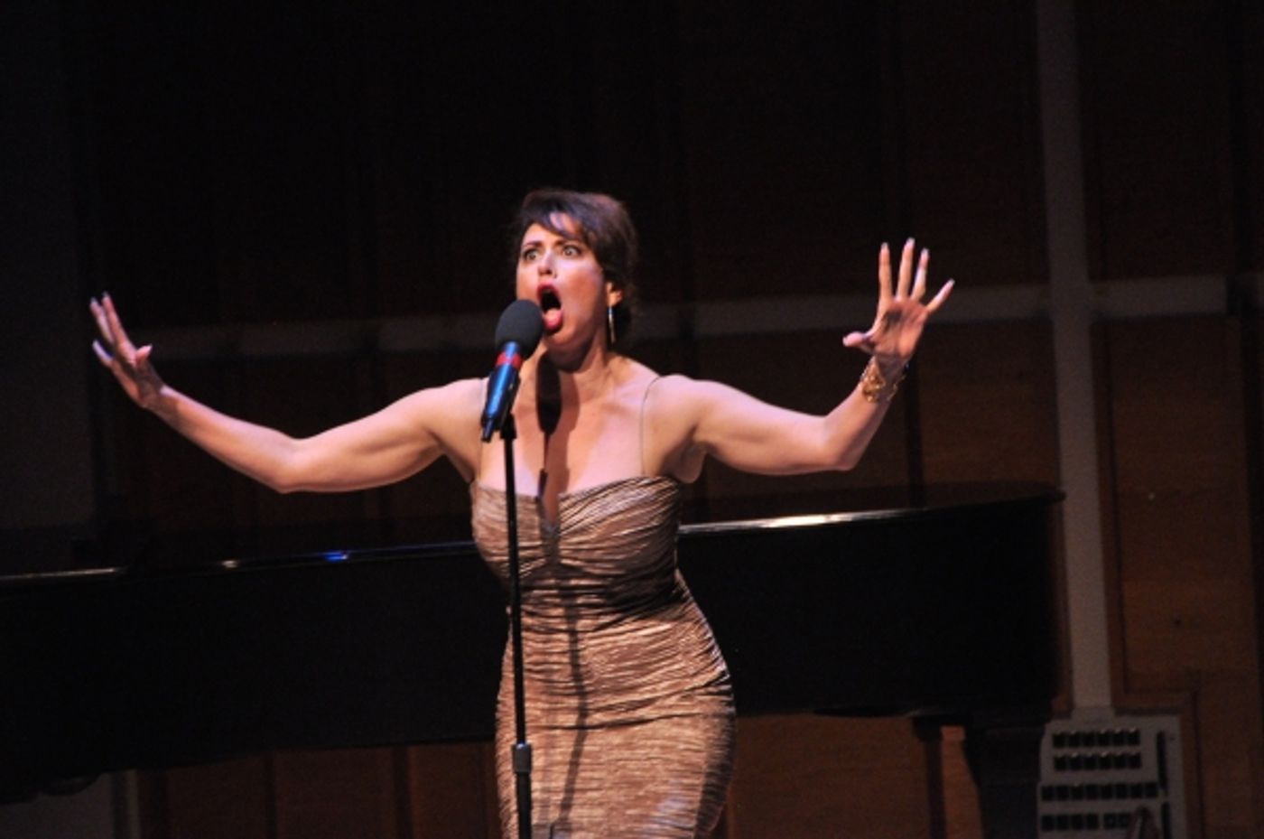 Photo Coverage: BORN FOR BROADWAY Lights Up Merkin Concert Hall - The Ladies' Performances! Image