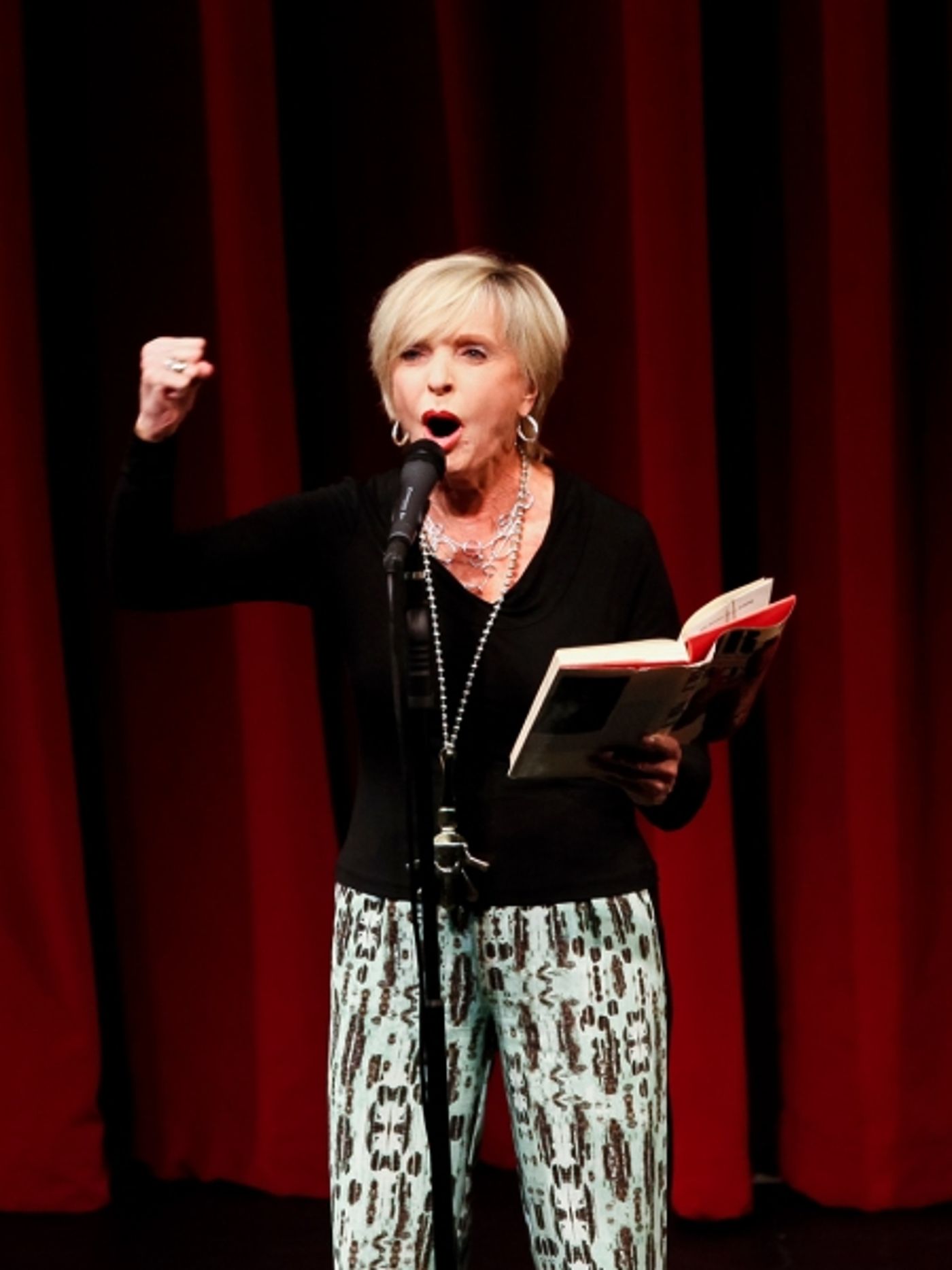 Photo Flash: Joey Fatone, Florence Henderson, Bruce Vilanch and More in CELEBRITY AUTOBIOGRAPHY's Benefit for A&O  Image