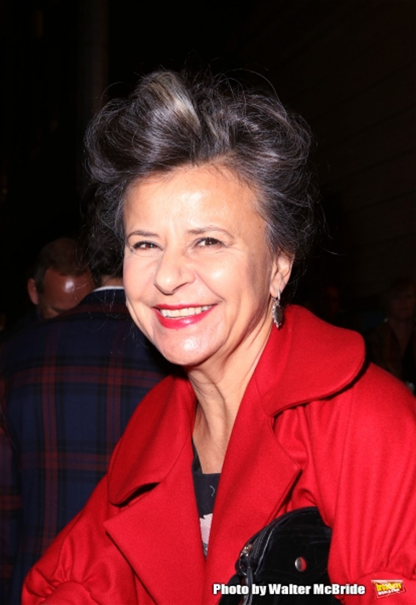 Photo Coverage: Stars Hit the ON THE TOWN Red Carpet Image