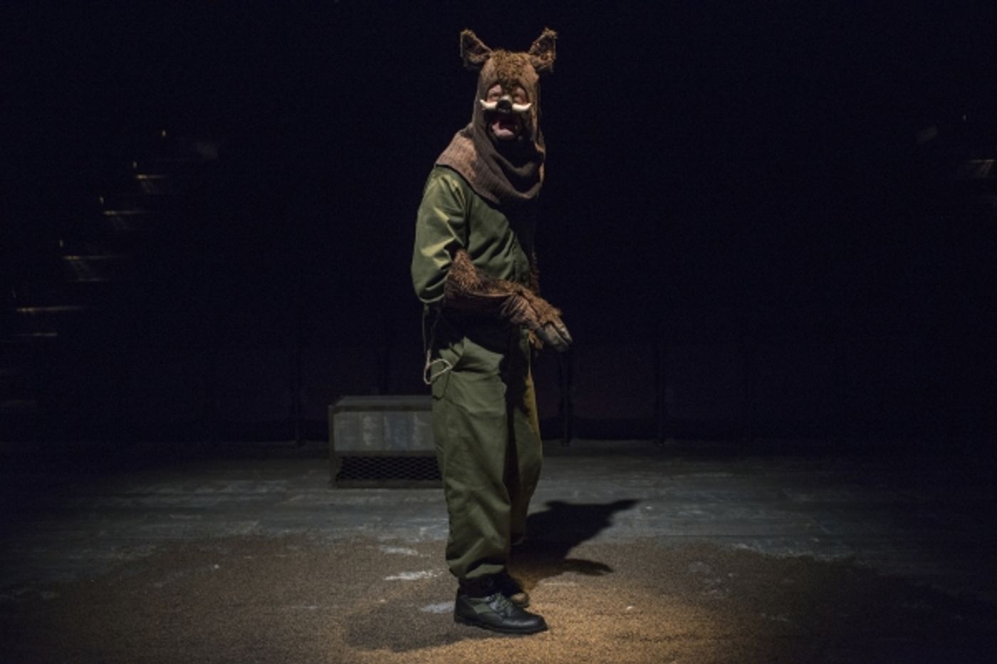 Photo Flash: First Look at Steppenwolf for Young Adults' ANIMAL FARM Photo Flash: First Look at Steppenwolf for Young Adults' ANIMAL FARM Image