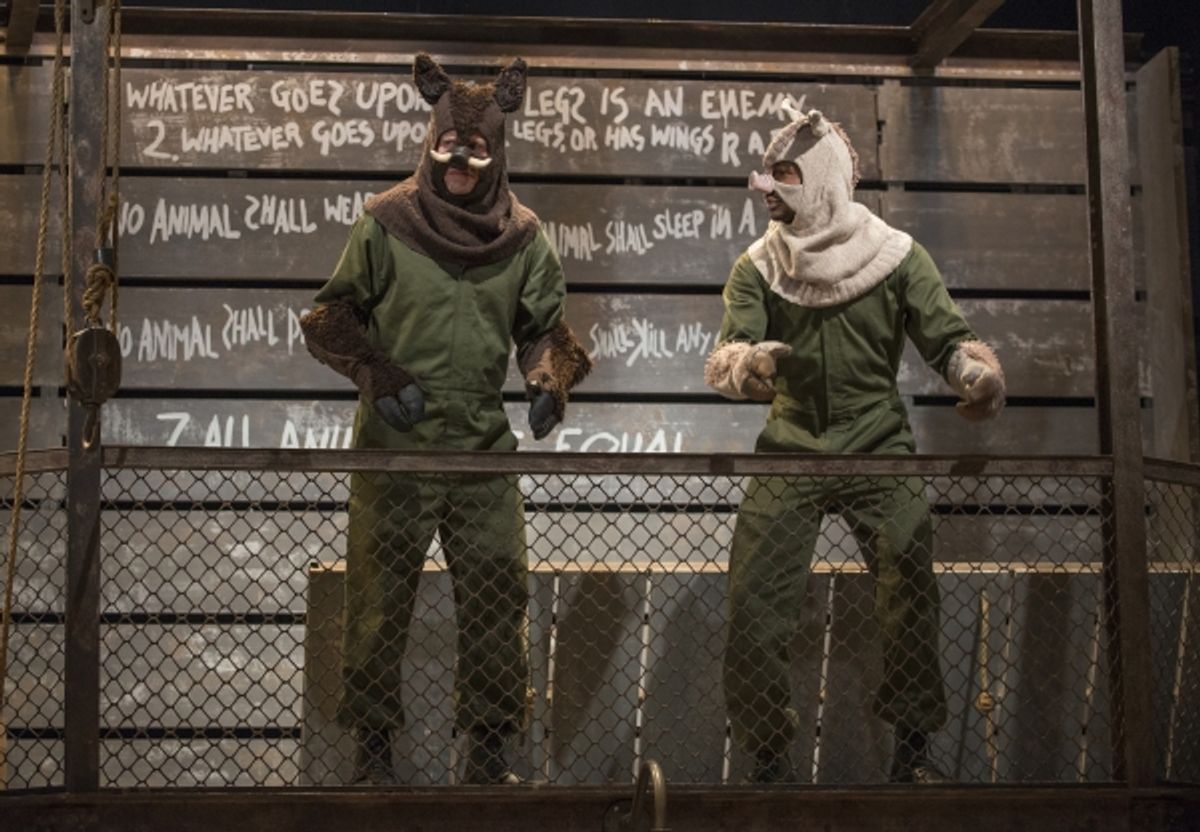 Napoleon (Blake Montgomery) and Snowball (Sean Parris) negotiate leadership at 