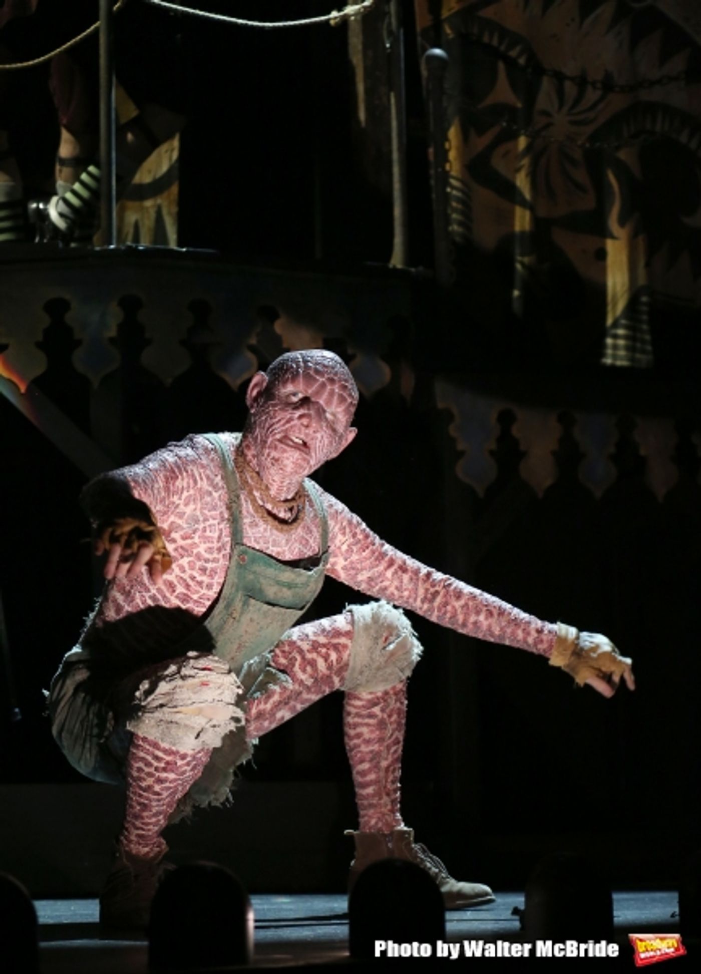 Photo Coverage: Come Look at the Freaks! SIDE SHOW Cast Meets the Press  Image