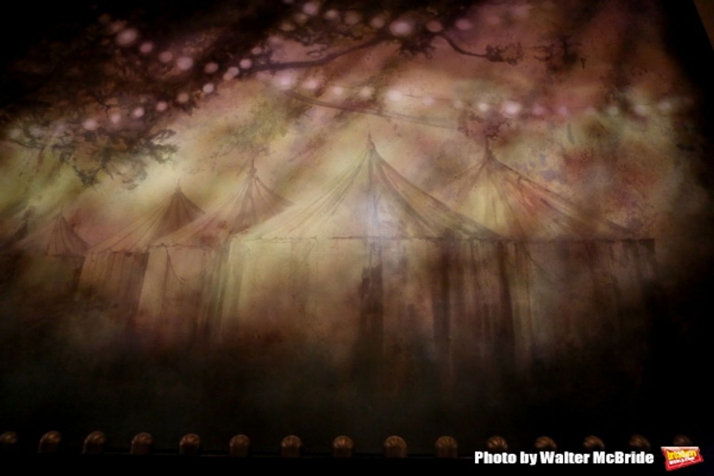 Photo Coverage: Come Look at the Freaks! SIDE SHOW Cast Meets the Press  Image