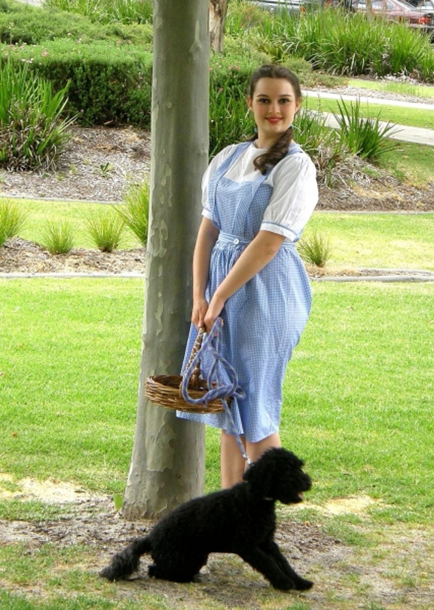 Photo Flash: First Look- The Old Mill Theatre Presents THE WIZARD OF OZ  Image