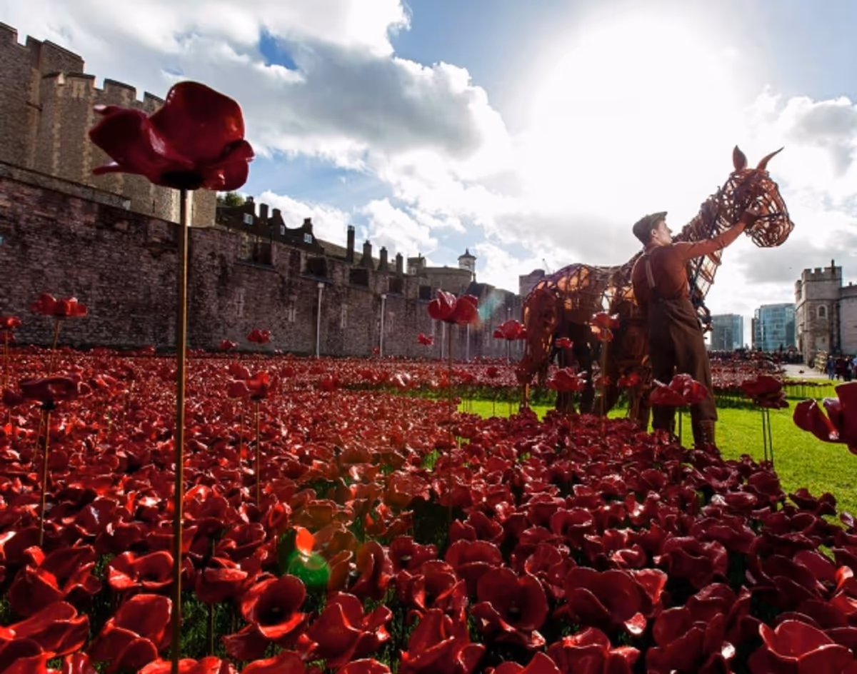 Joey, star of WAR HORSE, at the Tower of London at WAR HORSE's Joey and Author Michael Morpurgo at the Tower of London