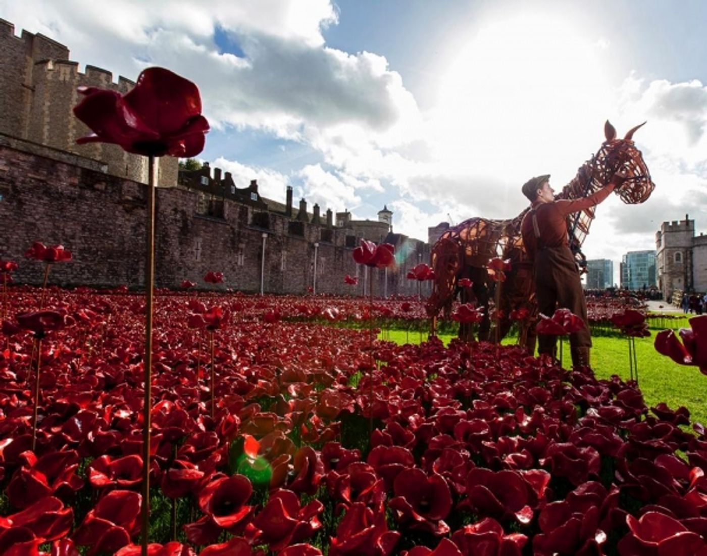 Photo Flash: WAR HORSE's Joey and Author Michael Morpurgo at the Tower of London Photo Flash: WAR HORSE's Joey and Author Michael Morpurgo at the Tower of London Image