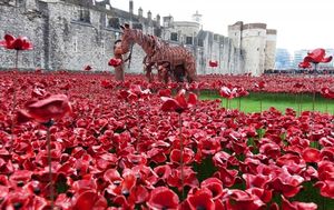 Joey, star of WAR HORSE, at the Tower of London Photo