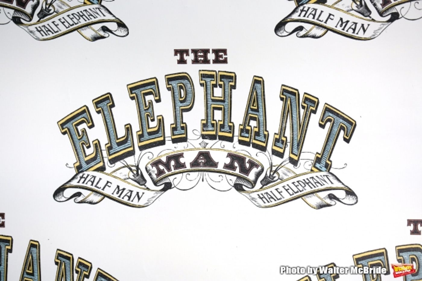 Photo Coverage: Bradley Cooper and the Company of THE ELEPHANT MAN on Broadway Meet the Press!  Image