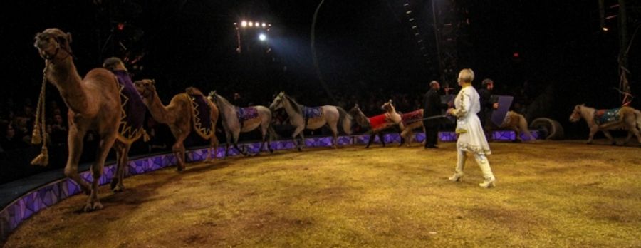 Photo Flash: The Big Apple Circus Comes to Town - at a Lincoln Center Near You! Image