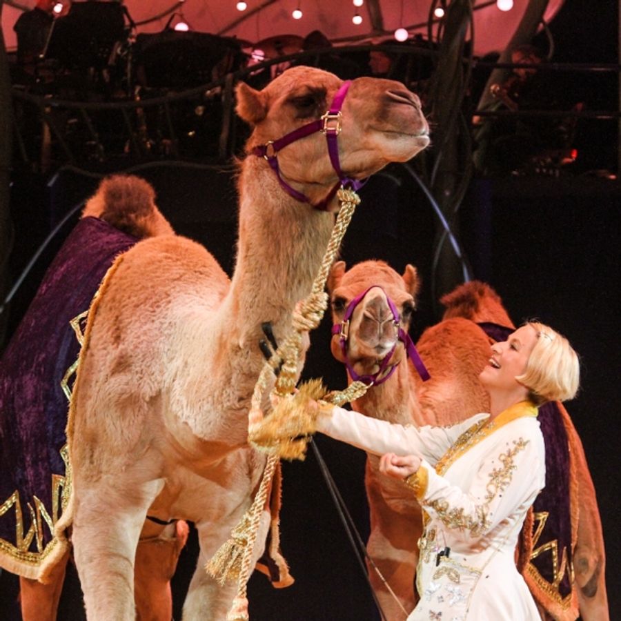 Photo Flash: The Big Apple Circus Comes to Town - at a Lincoln Center Near You! Image