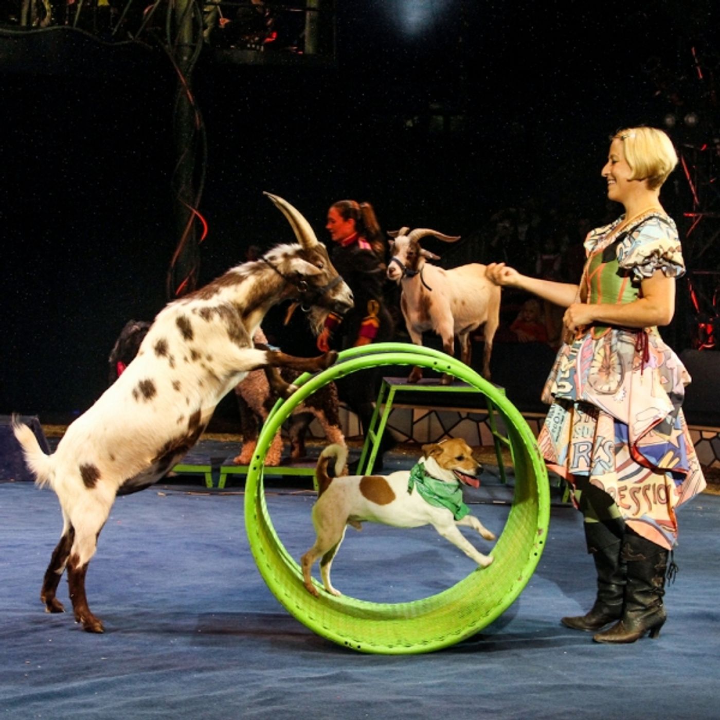 Photo Flash: The Big Apple Circus Comes to Town - at a Lincoln Center Near You! Photo Flash: The Big Apple Circus Comes to Town - at a Lincoln Center Near You! Image