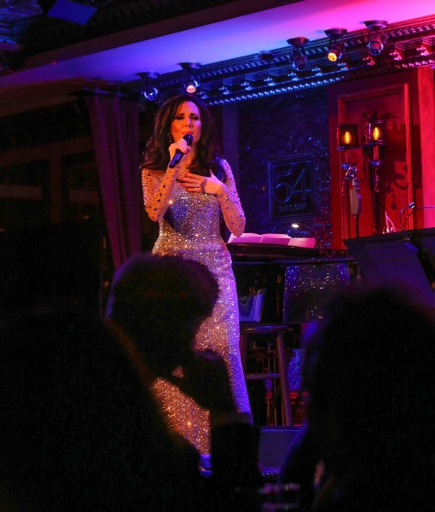 Photo Coverage: Deborah Silver Makes New York Cabaret Debut at 54 Below  Image