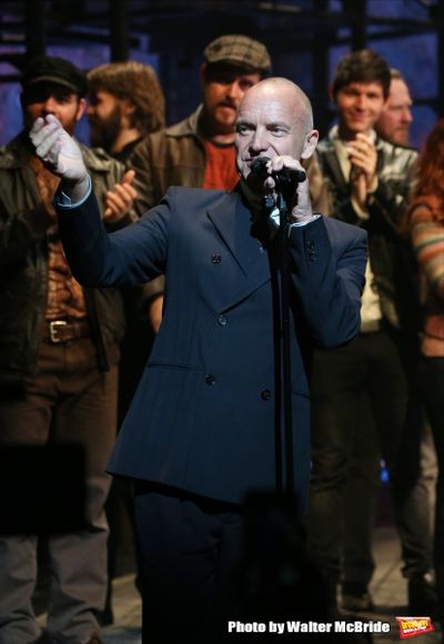 Sting  Photo