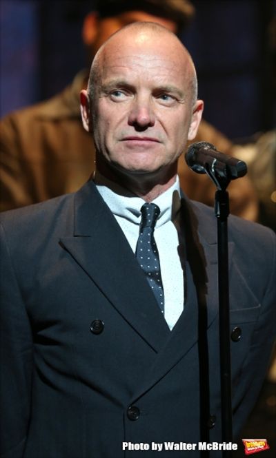 Sting  Photo