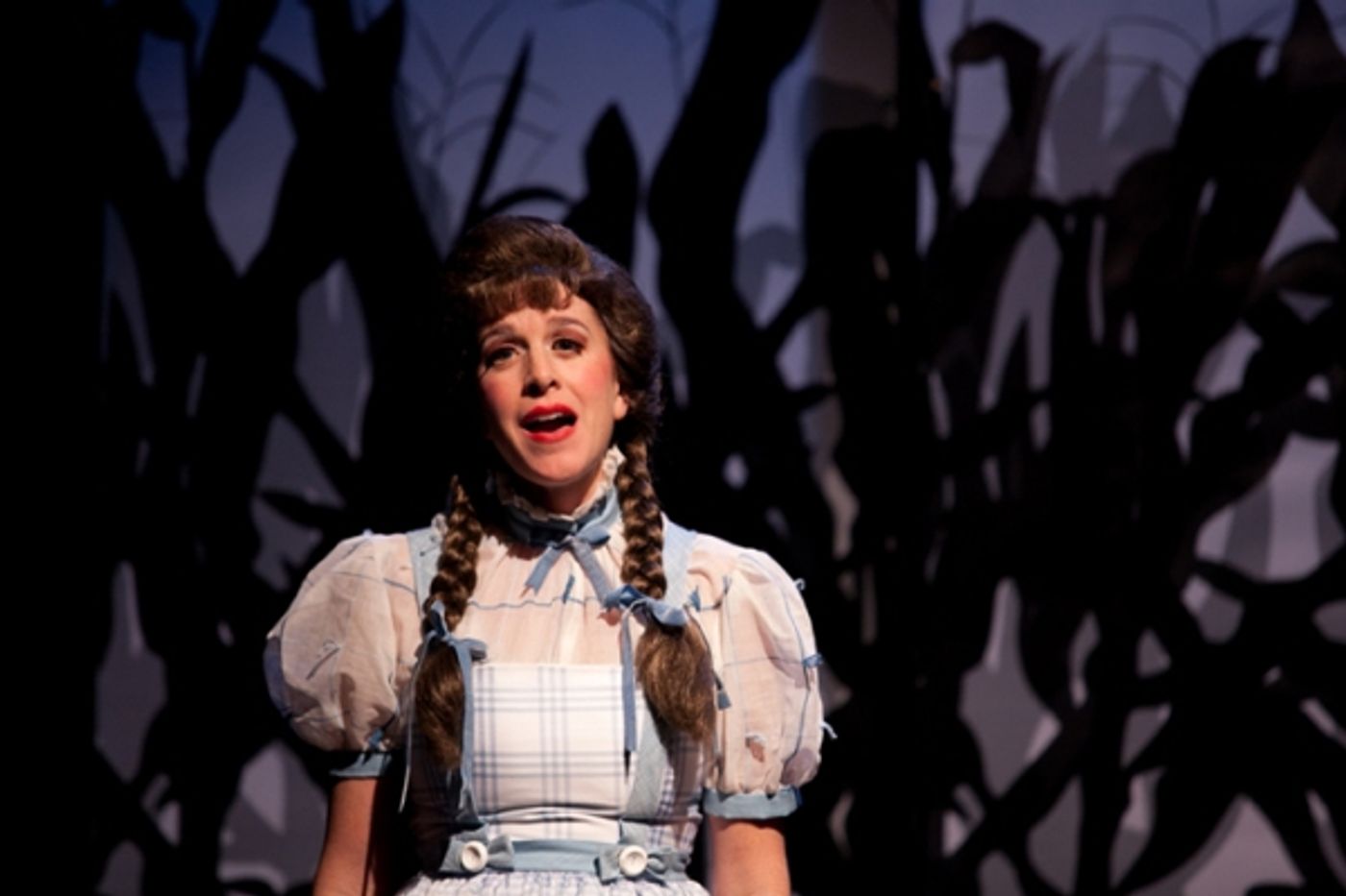Photo Flash: First Look at Pantochino Productions' THE WICKED WITCH OF THE WEST: KANSAS OR BUST  Image