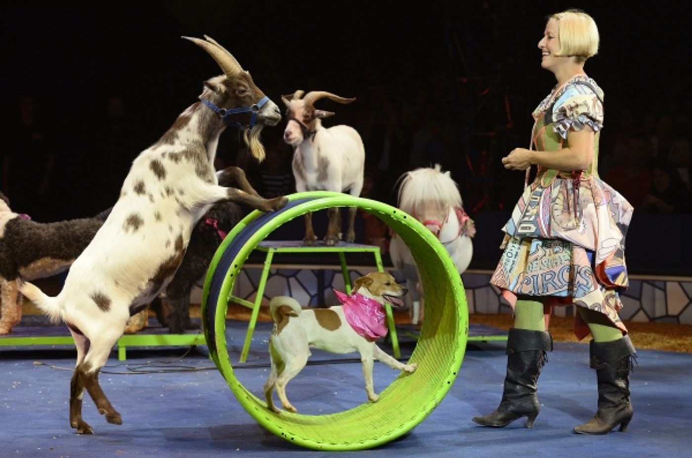Photo Flash: First Look at Big Apple Circus' METAMORPHOSIS, Hitting Theaters in November Photo Flash: First Look at Big Apple Circus' METAMORPHOSIS, Hitting Theaters in November Image
