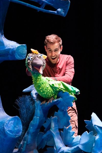 Daniel Fox Smith (Bird-Dragon) Photo