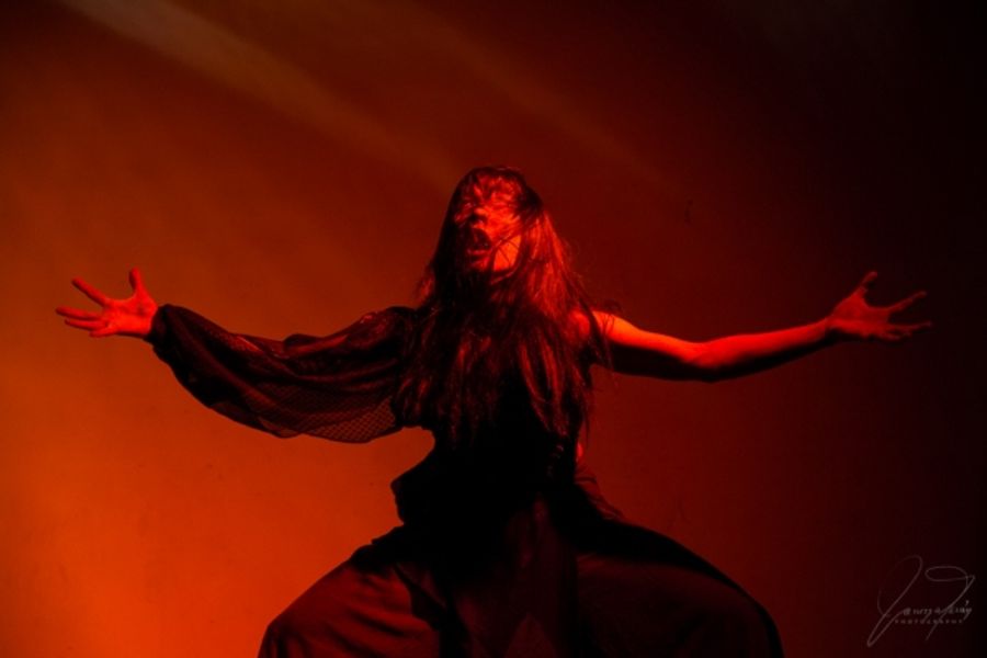 Photo Flash: BUTOH MEDEA Appears at United Solo Image