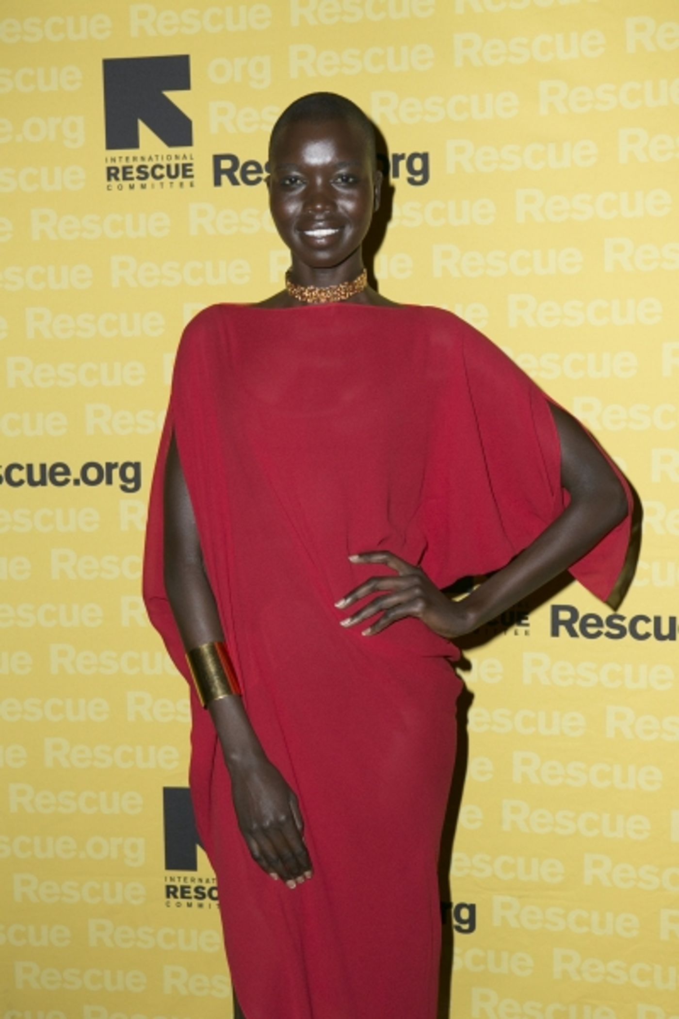 Photo Coverage: International Rescue Committee Hosts Annual Freedom Award Benefit  Image