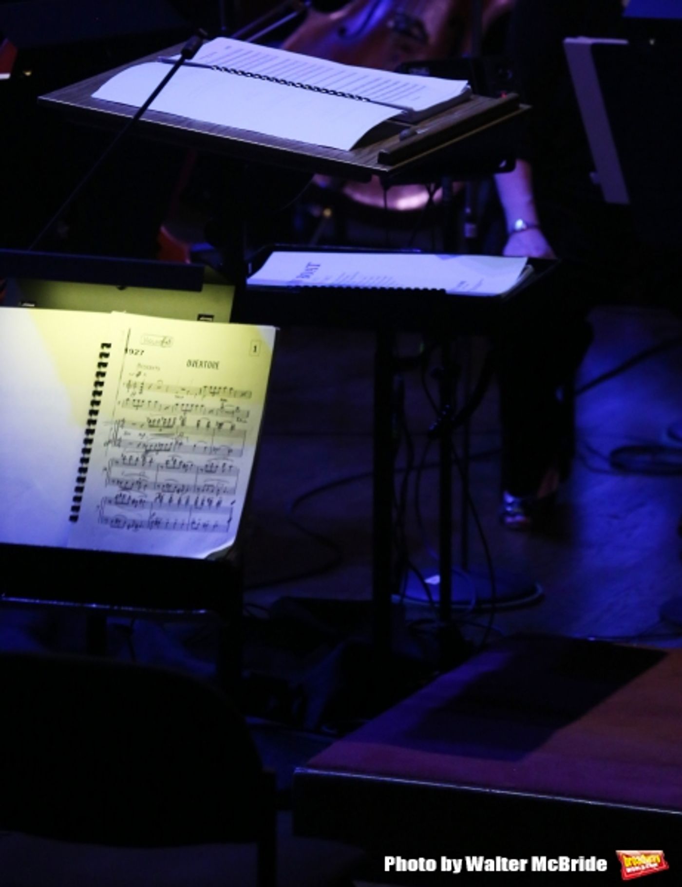 Photo Coverage: First Look at Vanessa Williams, Lauren Worsham, Jane Alexander & More in New York Philharmonic's SHOW BOAT - Part One  Image