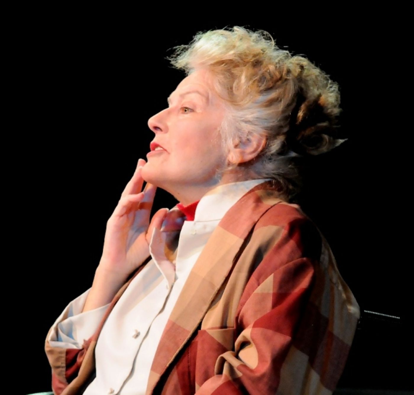 Photo Flash: First Look at Janis Stevens in 'KATE' at Sacramento Theatre Company Photo Flash: First Look at Janis Stevens in 'KATE' at Sacramento Theatre Company Image