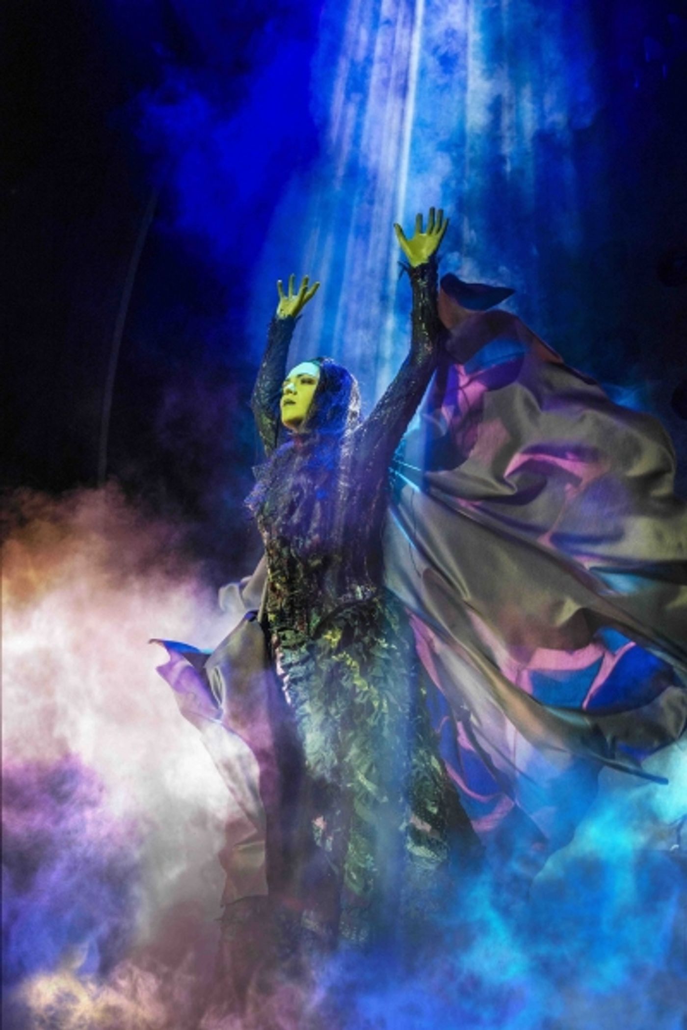 Photo Coverage: Jennifer DiNoia In West End WICKED!  Image