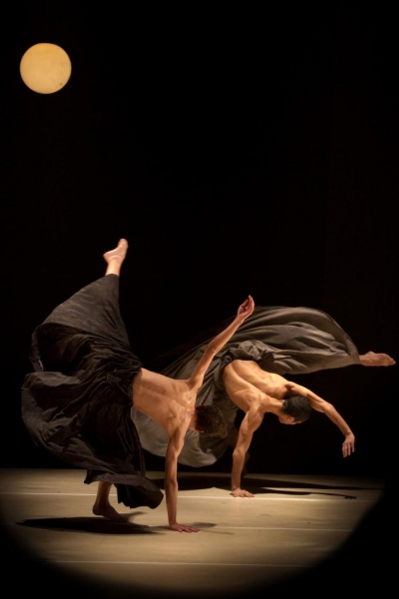 Photo Flash: Sneak Peek - Kibbutz Contemporary Dance to Bring IF AT ALL to The Wallis Photo Flash: Sneak Peek - Kibbutz Contemporary Dance to Bring IF AT ALL to The Wallis Image