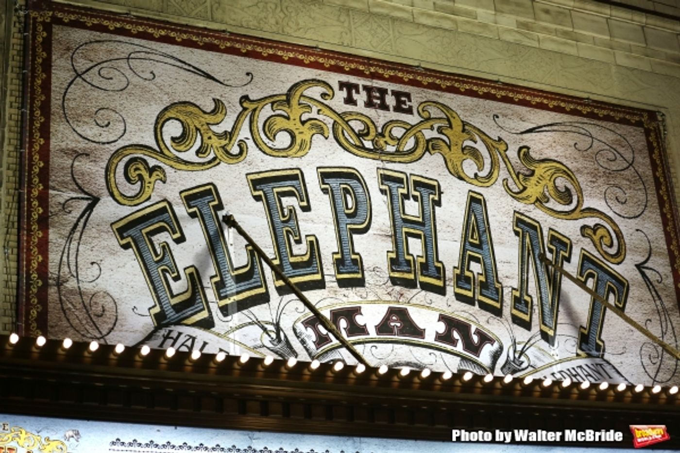 Photo Coverage: Bradley Cooper and THE ELEPHANT MAN Cast Take First Bows on Broadway  Image