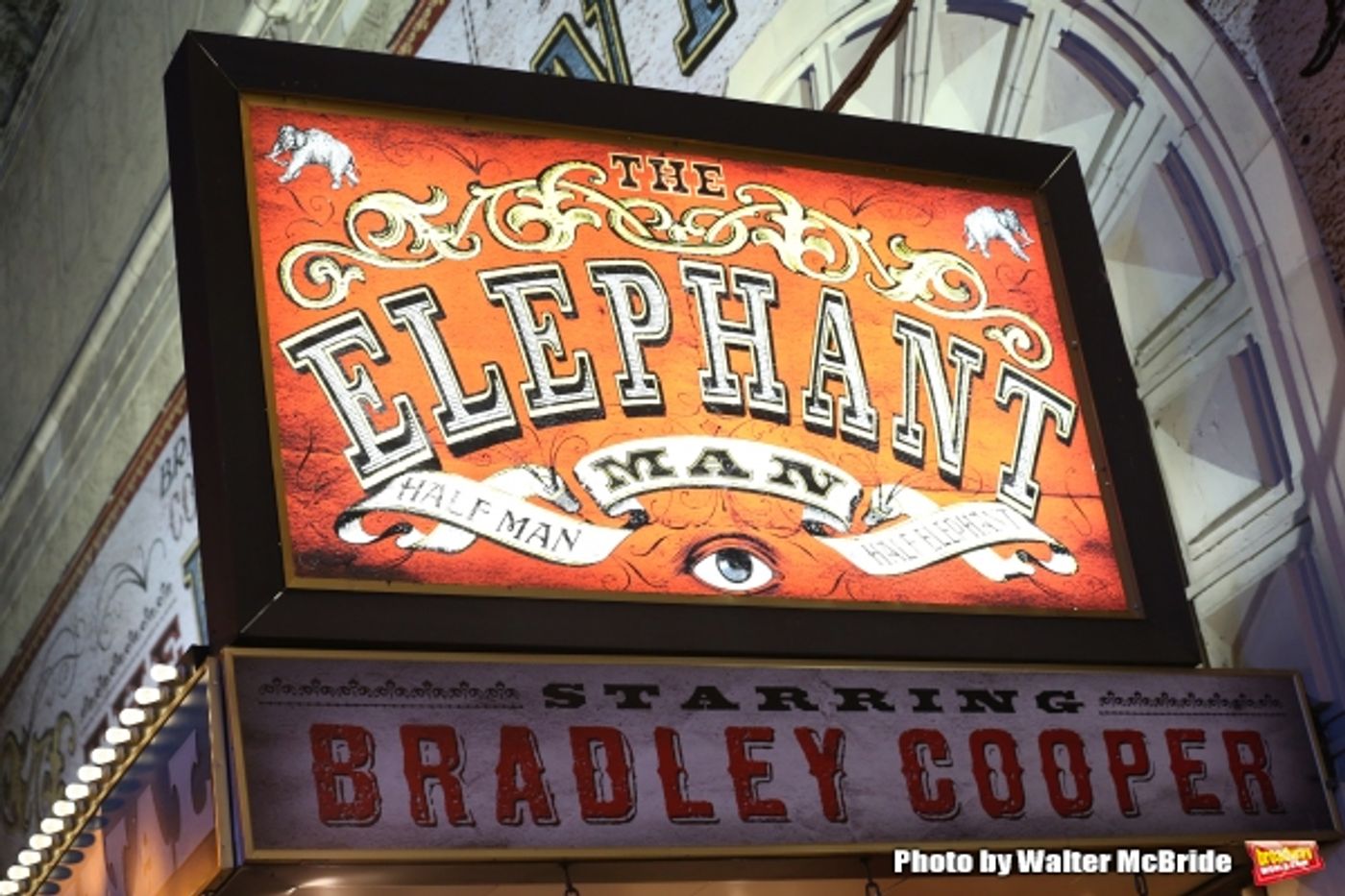 Photo Coverage: Bradley Cooper and THE ELEPHANT MAN Cast Take First Bows on Broadway  Image