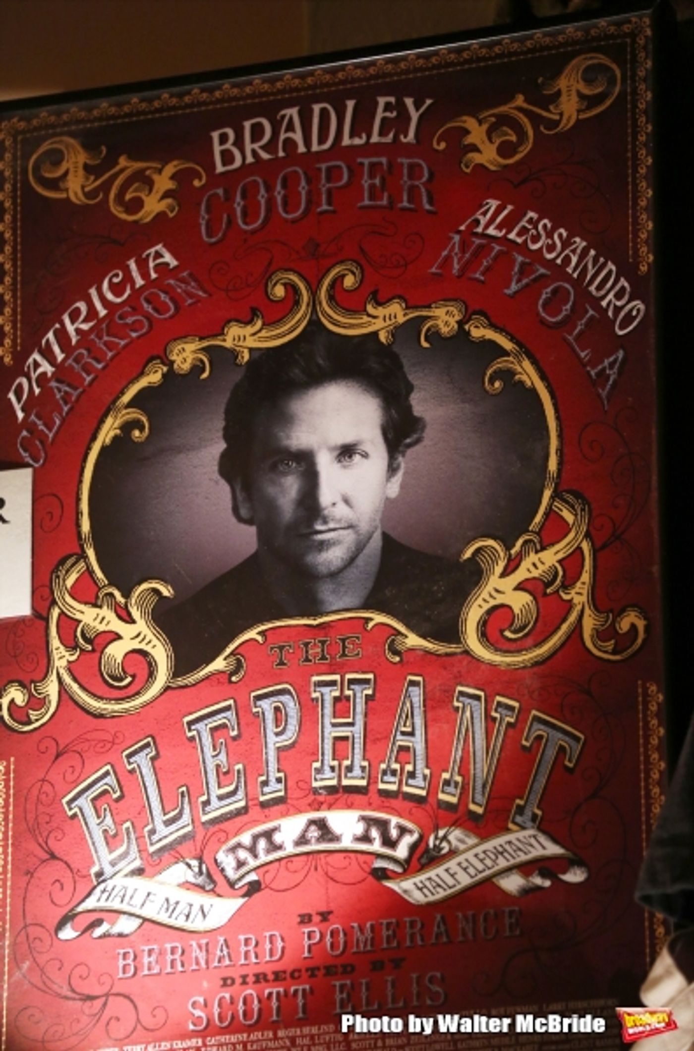 Photo Coverage: Bradley Cooper and THE ELEPHANT MAN Cast Take First Bows on Broadway  Image