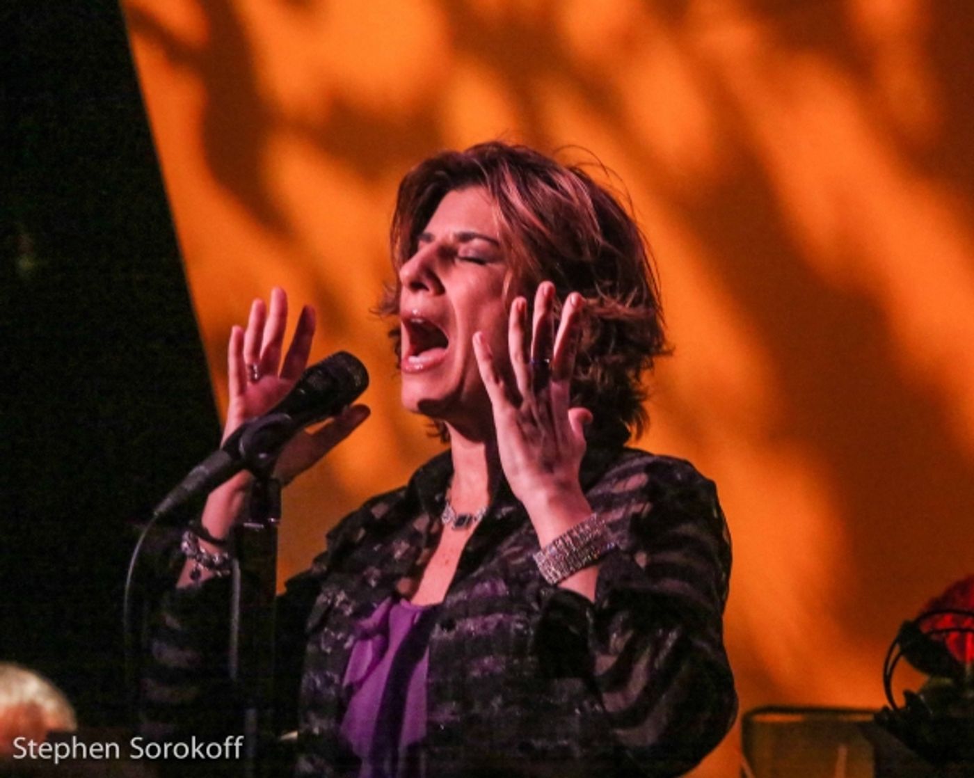 Photo Coverage: Marieann Meringolo Brings CRAZY LOVE to Metropolitan Room Photo Coverage: Marieann Meringolo Brings CRAZY LOVE to Metropolitan Room Image