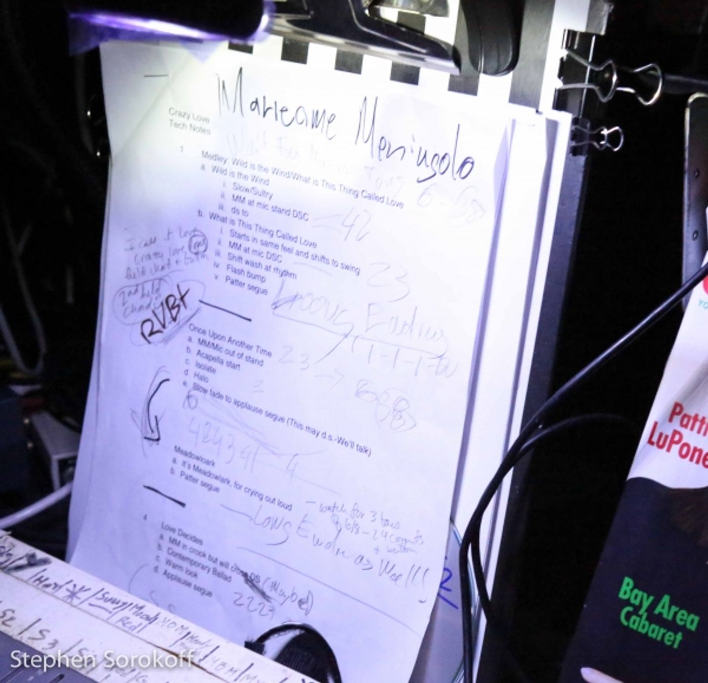 Photo Coverage: Marieann Meringolo Brings CRAZY LOVE to Metropolitan Room Photo Coverage: Marieann Meringolo Brings CRAZY LOVE to Metropolitan Room Image