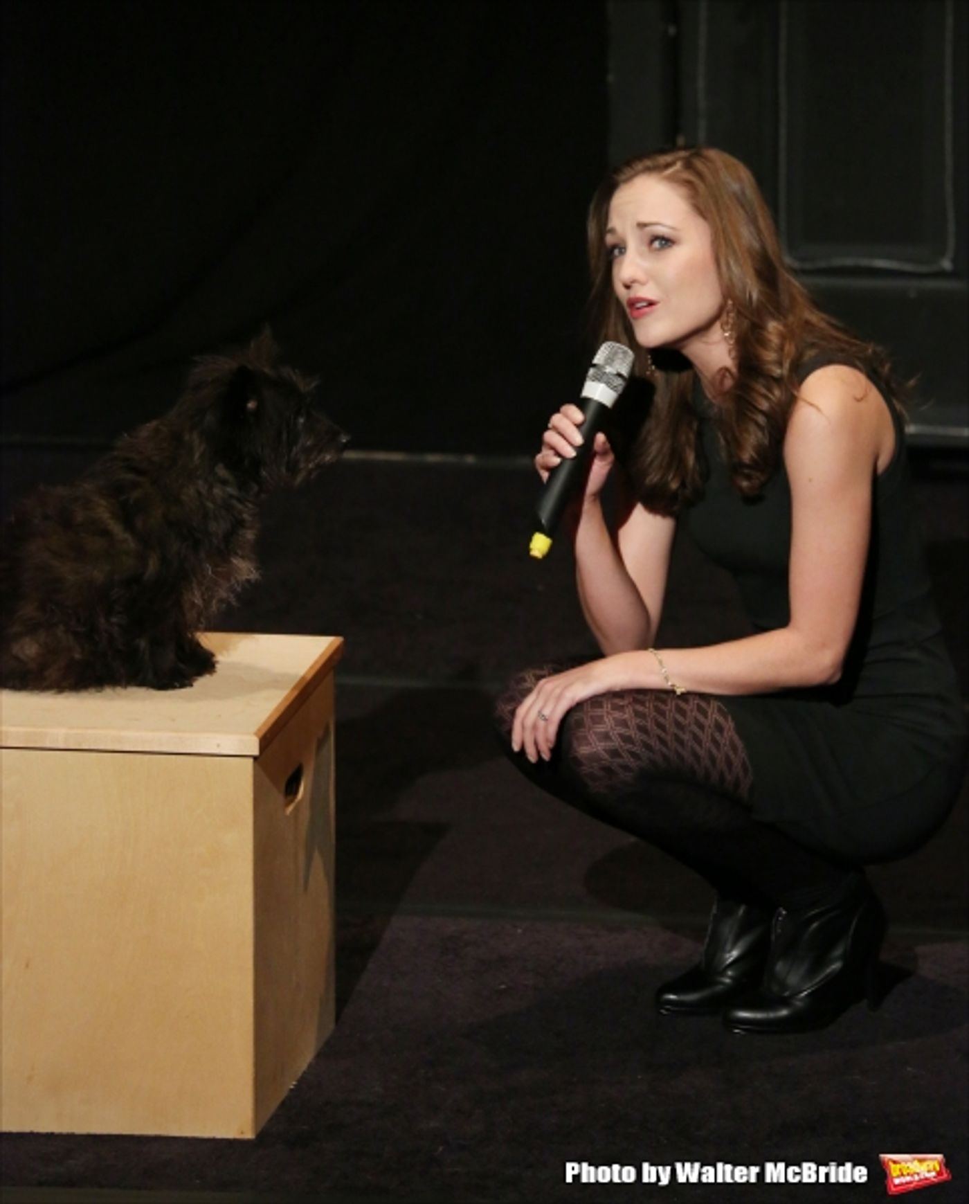 Photo Coverage: Christian Borle, Laura Osnes & More Sing for Puppy Love- Inside BEST IN SHOWS Benefit Concert!  Image