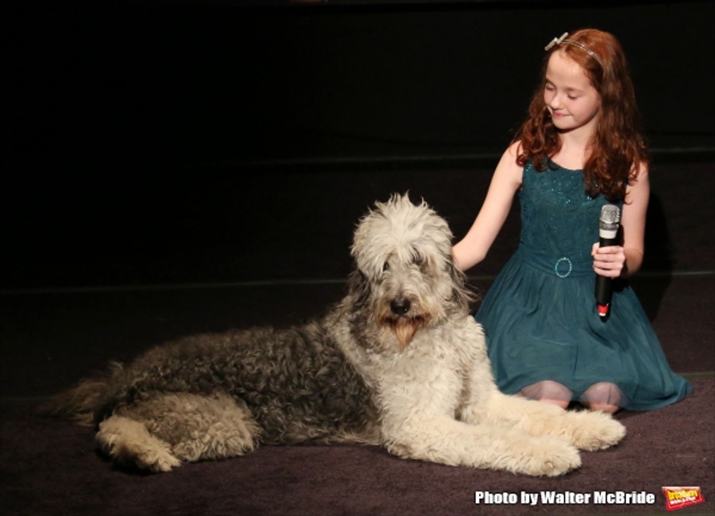 Photo Coverage: Christian Borle, Laura Osnes & More Sing for Puppy Love- Inside BEST IN SHOWS Benefit Concert!  Image