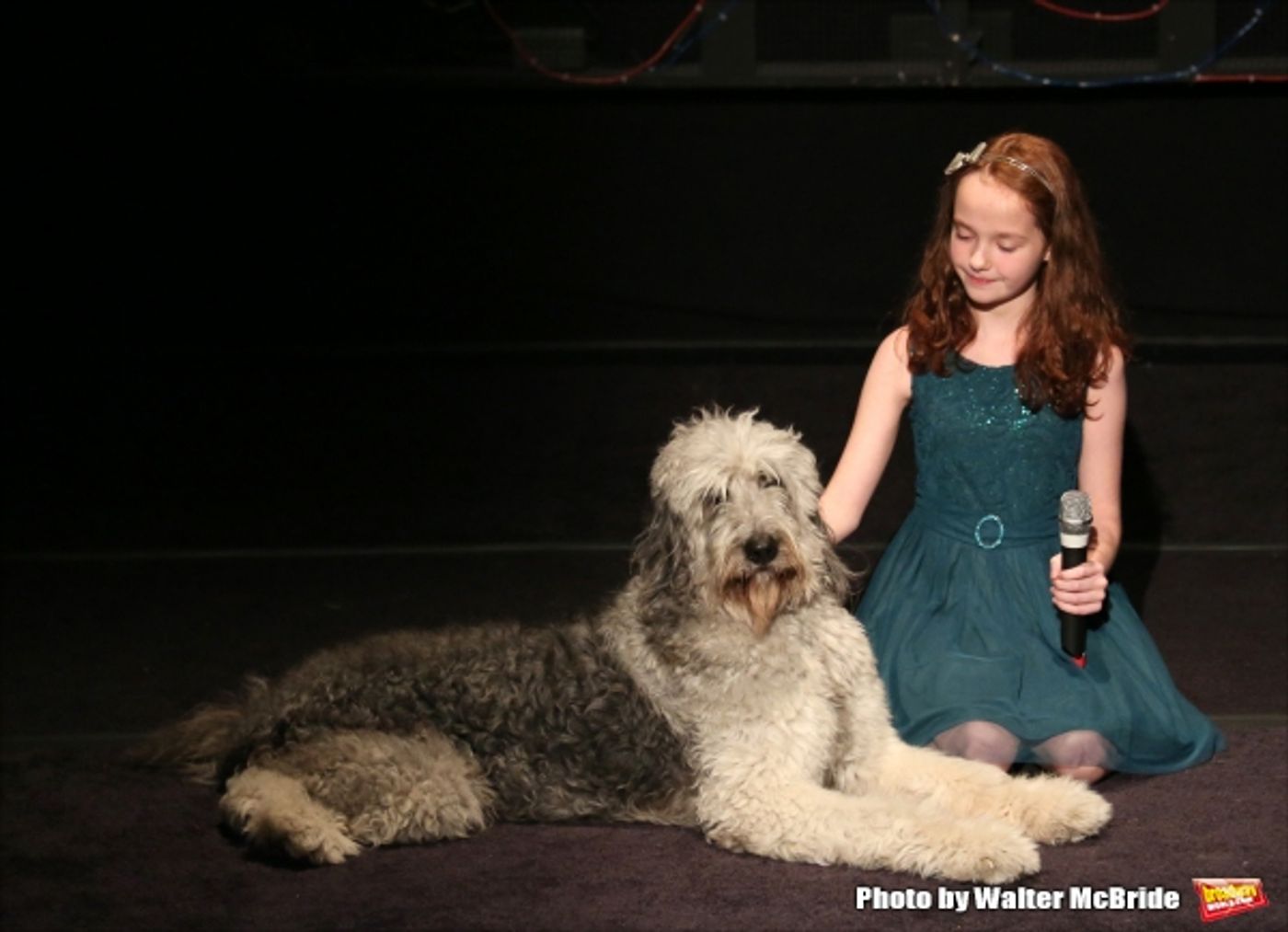 Photo Coverage: Christian Borle, Laura Osnes & More Sing for Puppy Love- Inside BEST IN SHOWS Benefit Concert!  Image