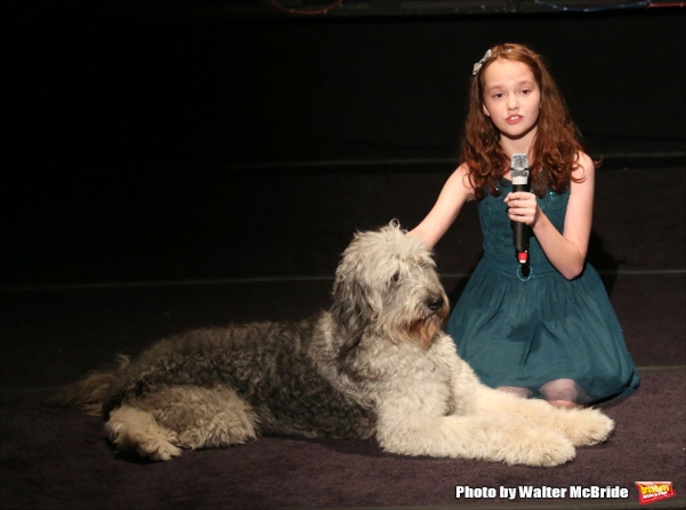 Photo Coverage: Christian Borle, Laura Osnes & More Sing for Puppy Love- Inside BEST IN SHOWS Benefit Concert!  Image