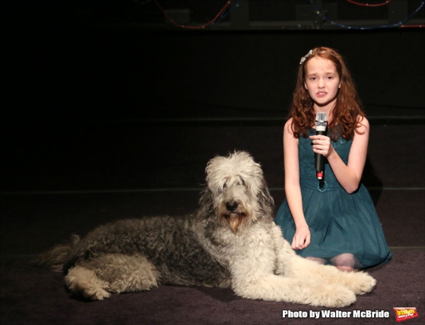 Photo Coverage: Christian Borle, Laura Osnes & More Sing for Puppy Love- Inside BEST IN SHOWS Benefit Concert!  Image