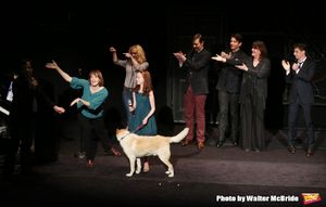 Seth Rudetsky, Julia Murney, Rachel Bay Jones, Taylor Richardson, John Bolton, Andy K Photo