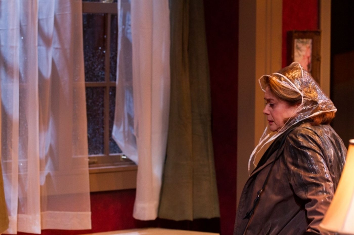 Photo Flash: First Look at Delaware Theatre Company's REST, IN PIECES  Image