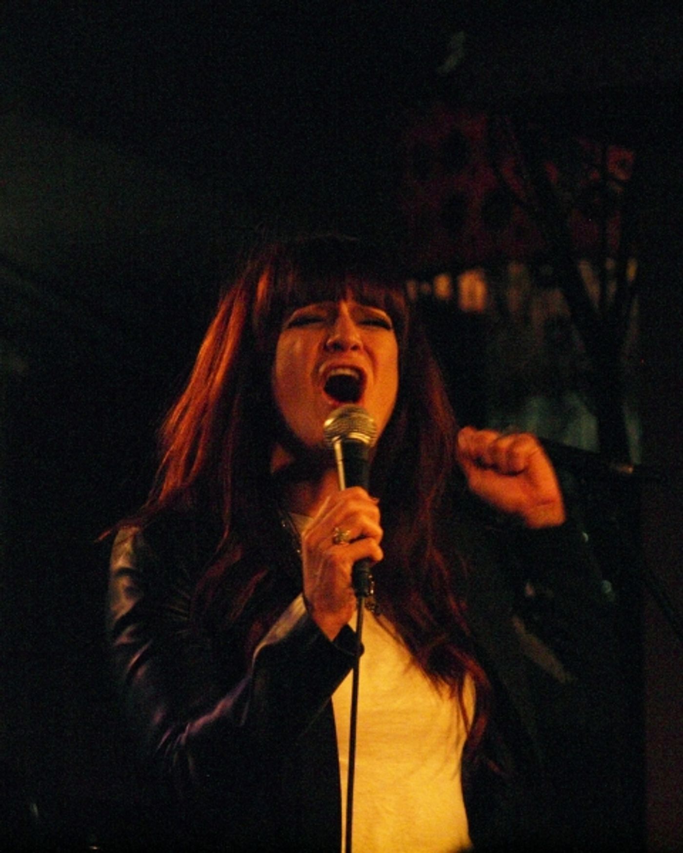 Photo Coverage: SIMPLY SCOTT ALAN at Rockwell: Table & Stage Image