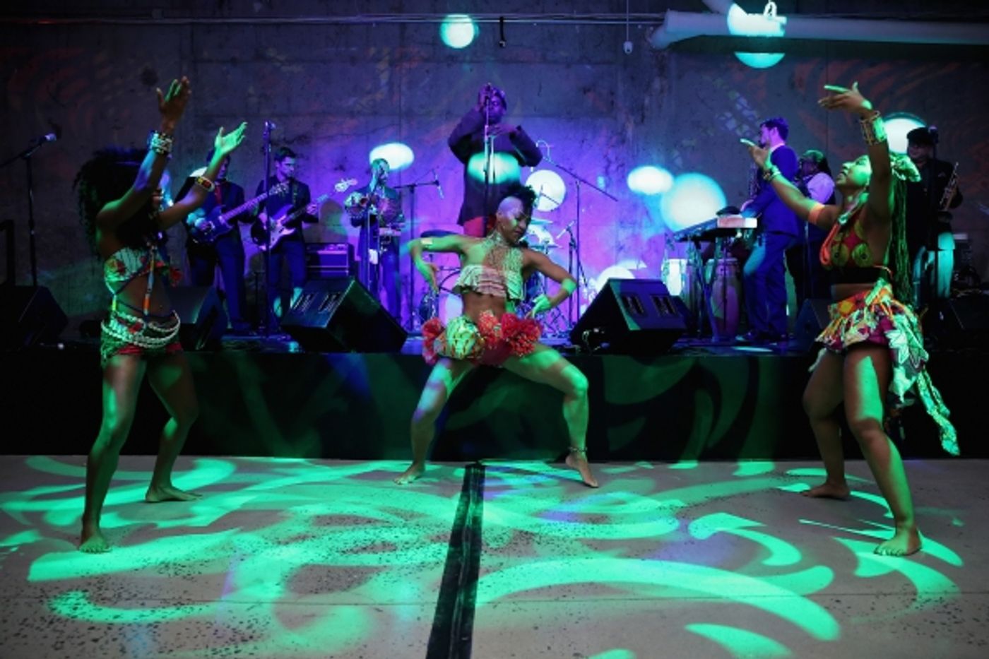 Photo Flash: Cast of FELA! and More Attend the 2014 Malaria No More Gala Photo Flash: Cast of FELA! and More Attend the 2014 Malaria No More Gala Image