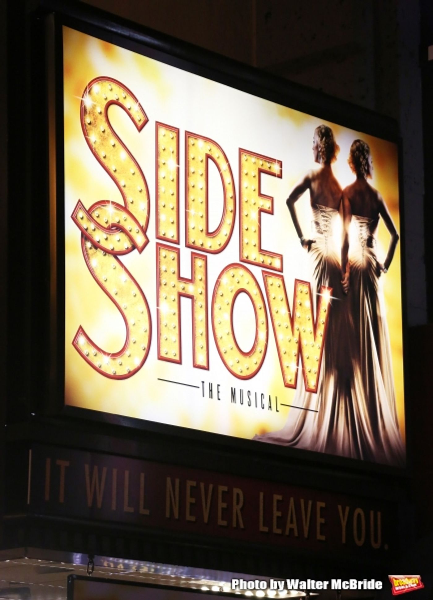 Photo Coverage: SIDE SHOW Opening Night Curtain Call! Image