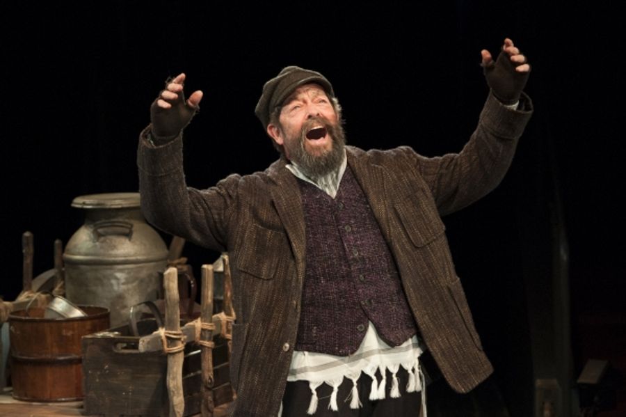 Photo Flash: First Look at the Arena Stage's FIDDLER ON THE ROOF Starring Ann Arvia, Jonathan Hadary and More! Image
