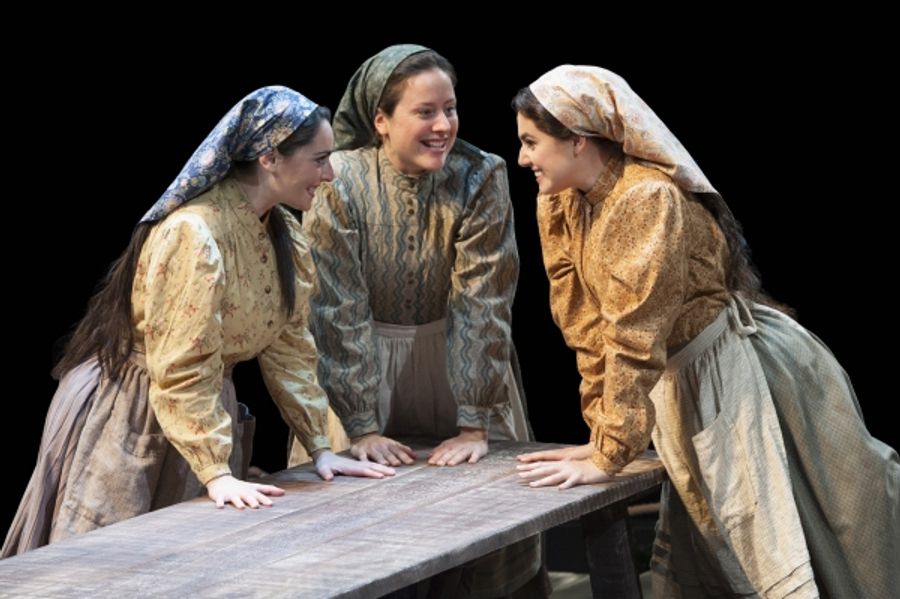 Photo Flash: First Look at the Arena Stage's FIDDLER ON THE ROOF Starring Ann Arvia, Jonathan Hadary and More! Image