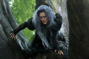 Meryl Streep as The Witch @ BroadwayWorld Meryl Streep as The Witch Photo