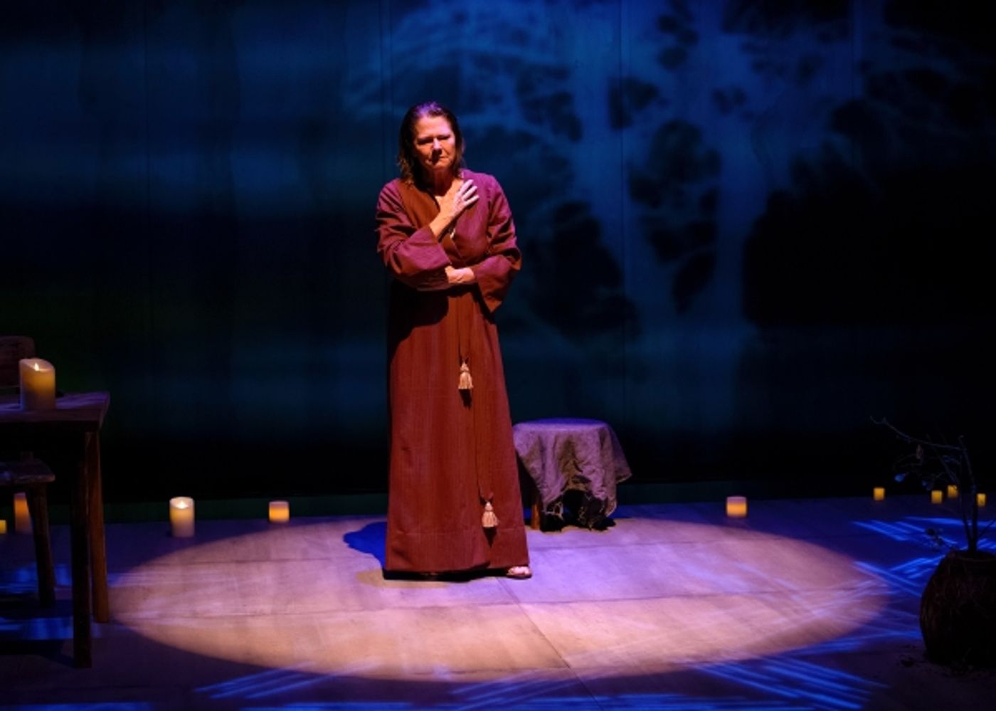 Photo Flash: First Look at THE TESTAMENT OF MARY at Victory Gardens  Image