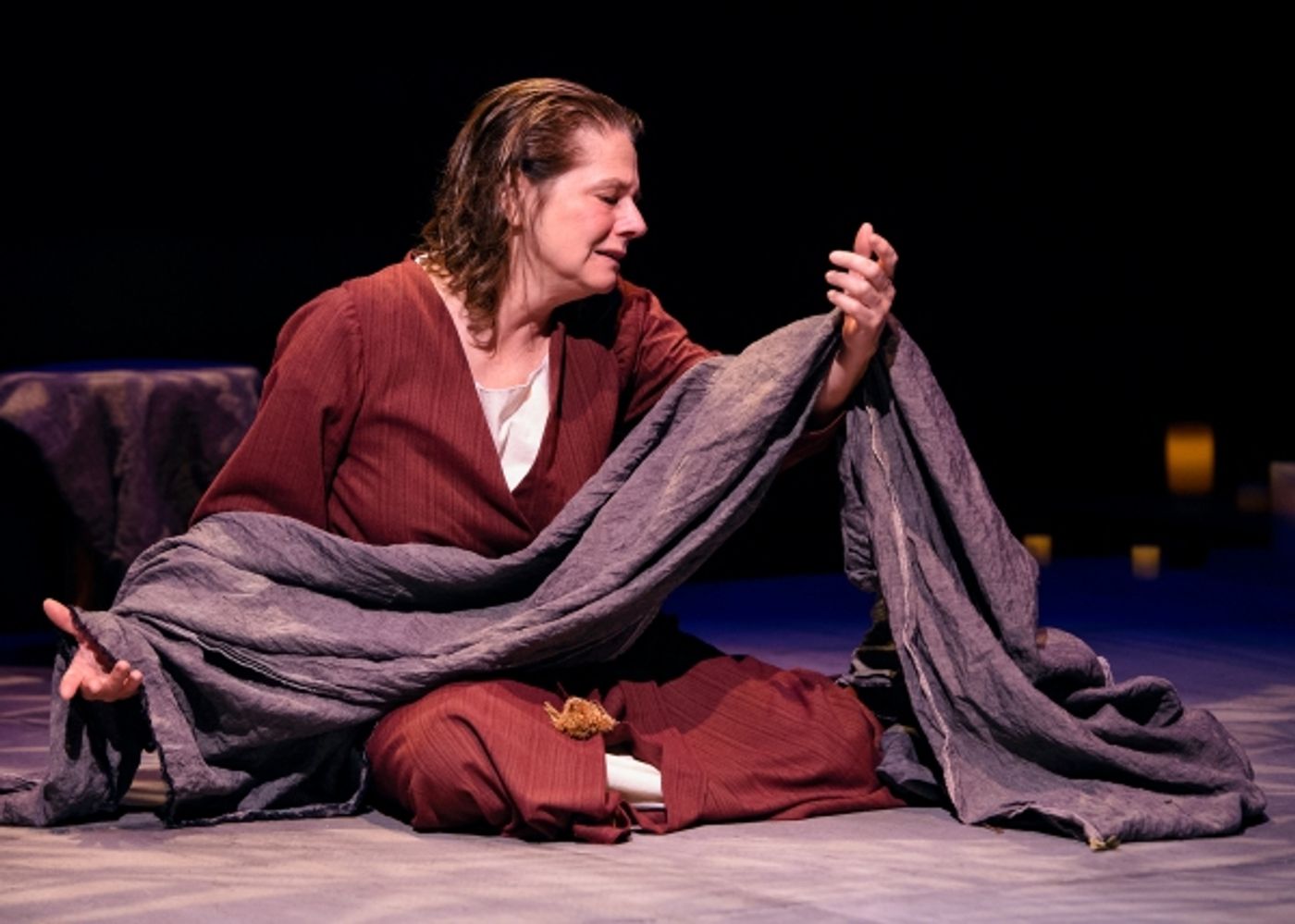 Photo Flash: First Look at THE TESTAMENT OF MARY at Victory Gardens  Image