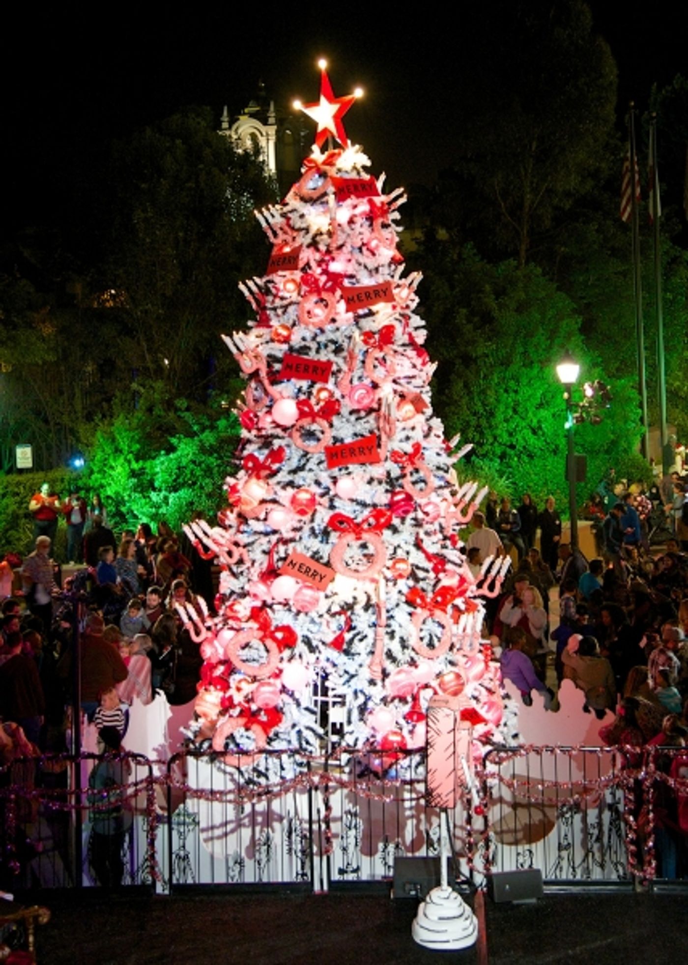 Photo Flash: 'THE GRINCH' Cast and More Attend The Old Globe's 9th Annual Christmas Tree Lighting Ceremony Photo Flash: 'THE GRINCH' Cast and More Attend The Old Globe's 9th Annual Christmas Tree Lighting Ceremony Image